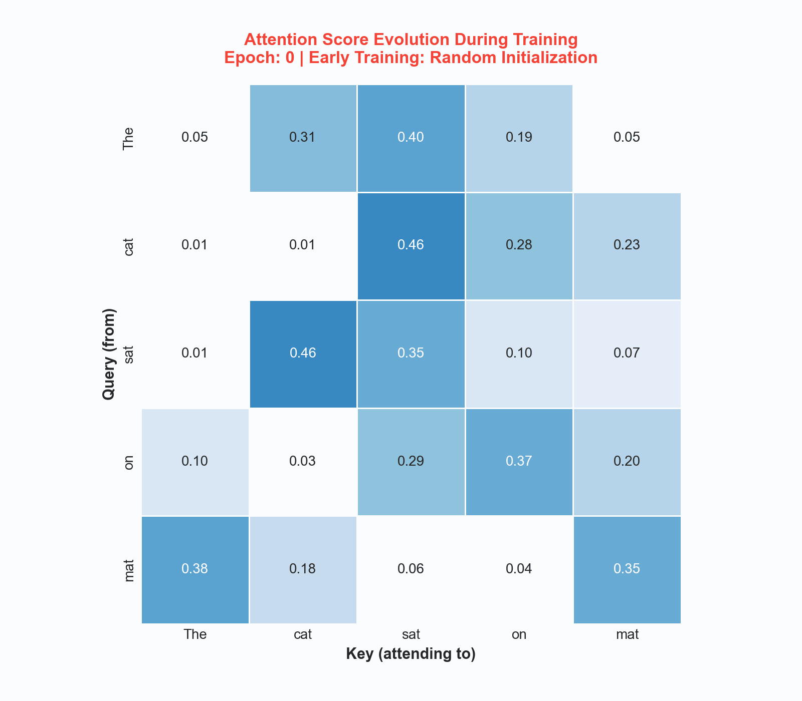 Attention Training Evolution Animation
