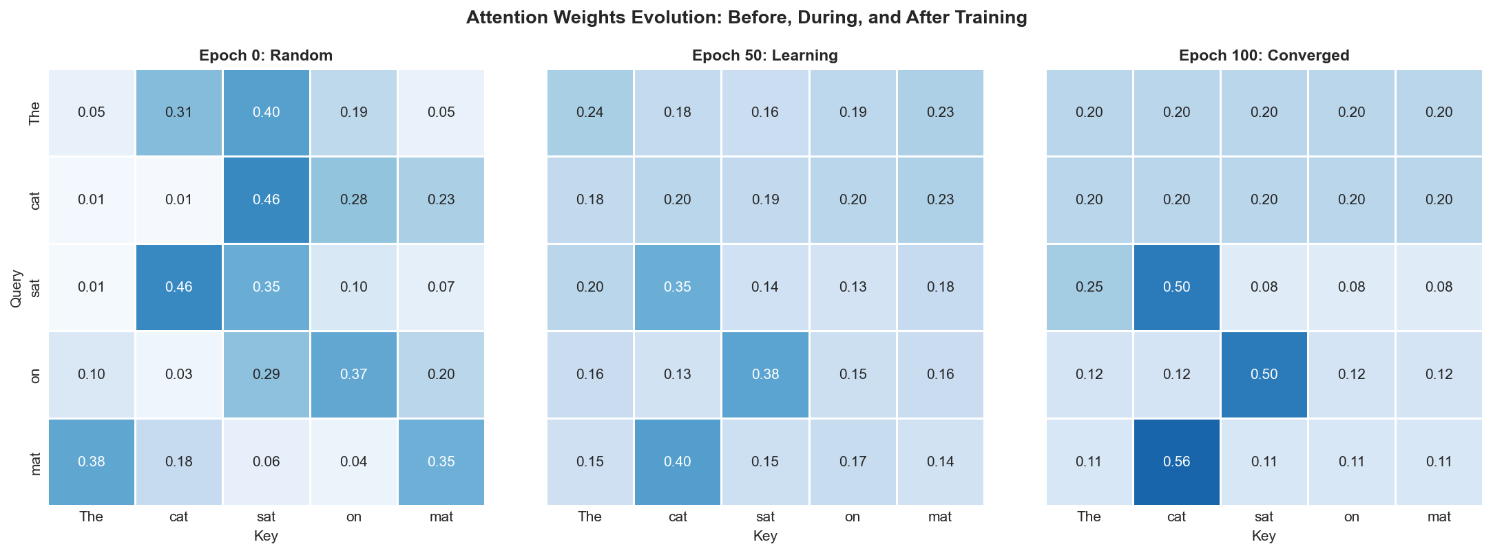 Attention Training Stages