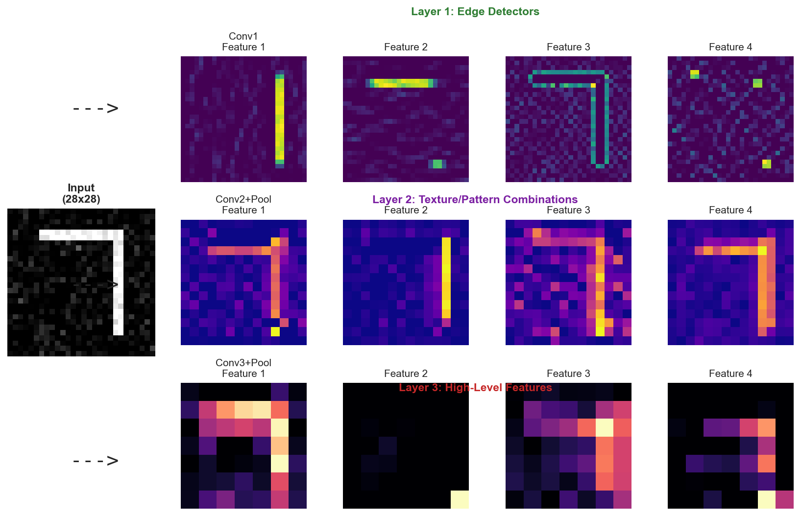 Feature Map Activations