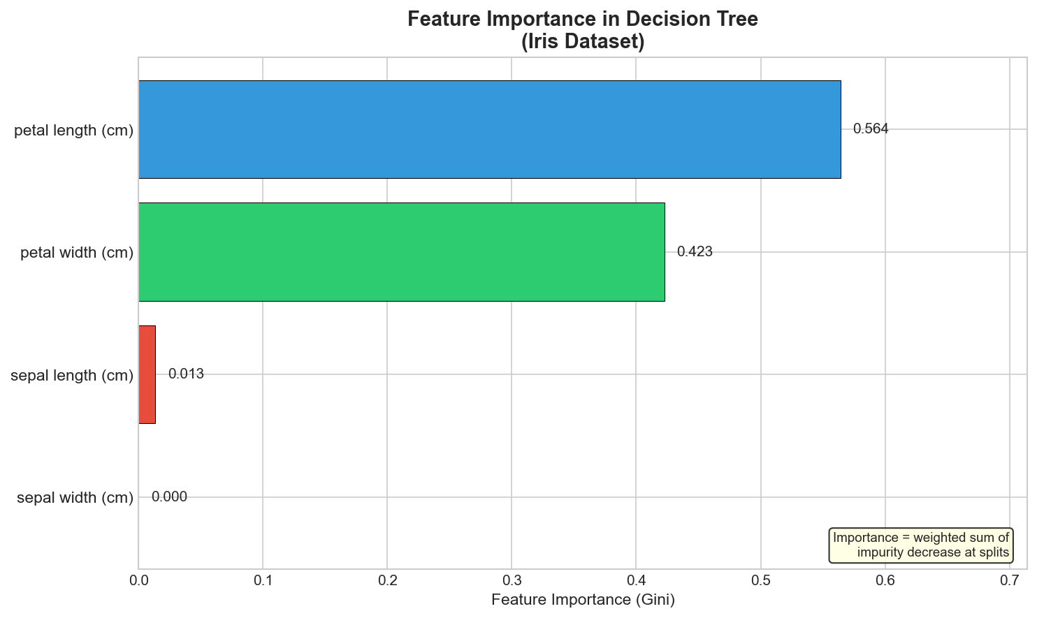 Feature Importance