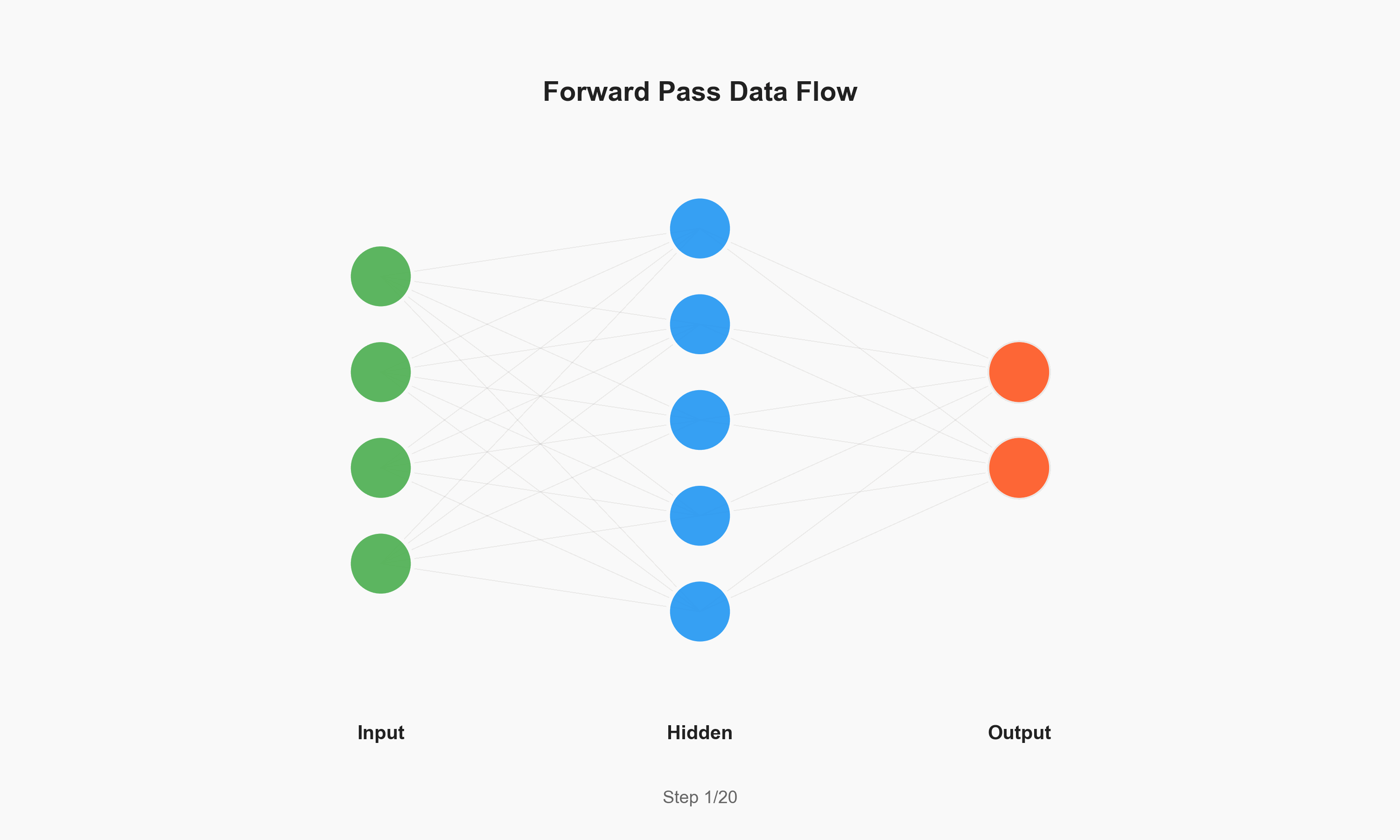 Forward Pass Animation