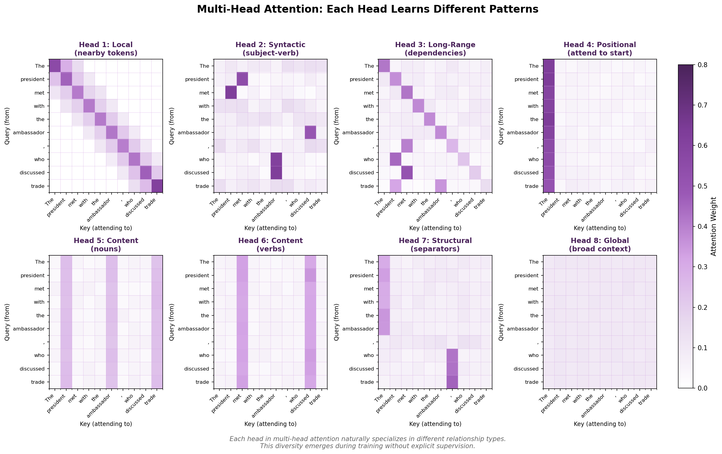 Head Specialization Grid showing 8 different attention patterns learned by different heads, demonstrating how each head focuses on distinct linguistic relationships