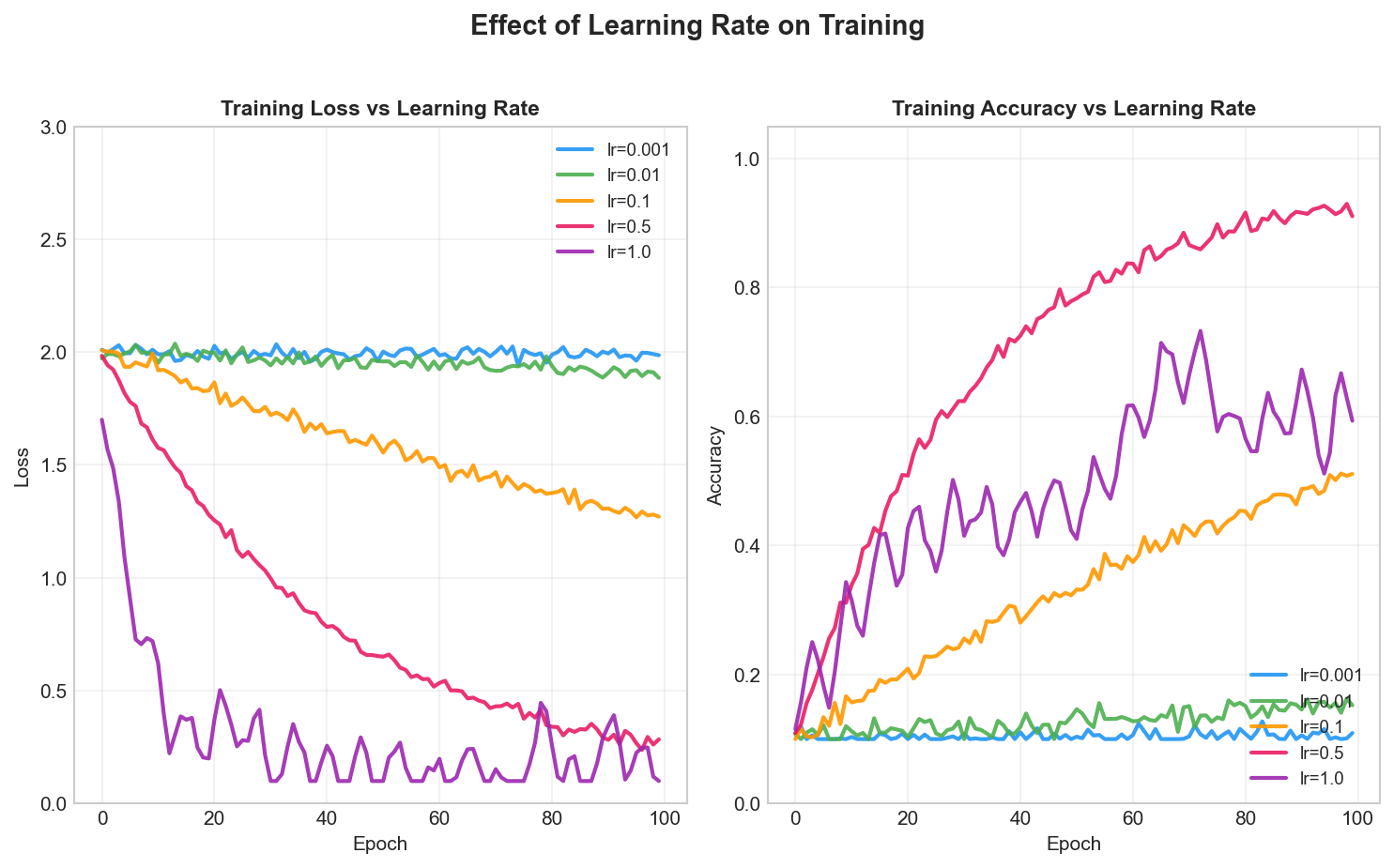 Learning Rate Comparison