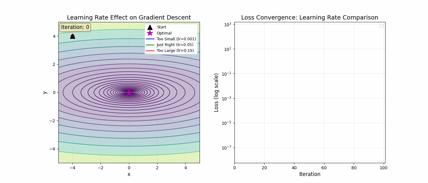 Learning Rate Effect