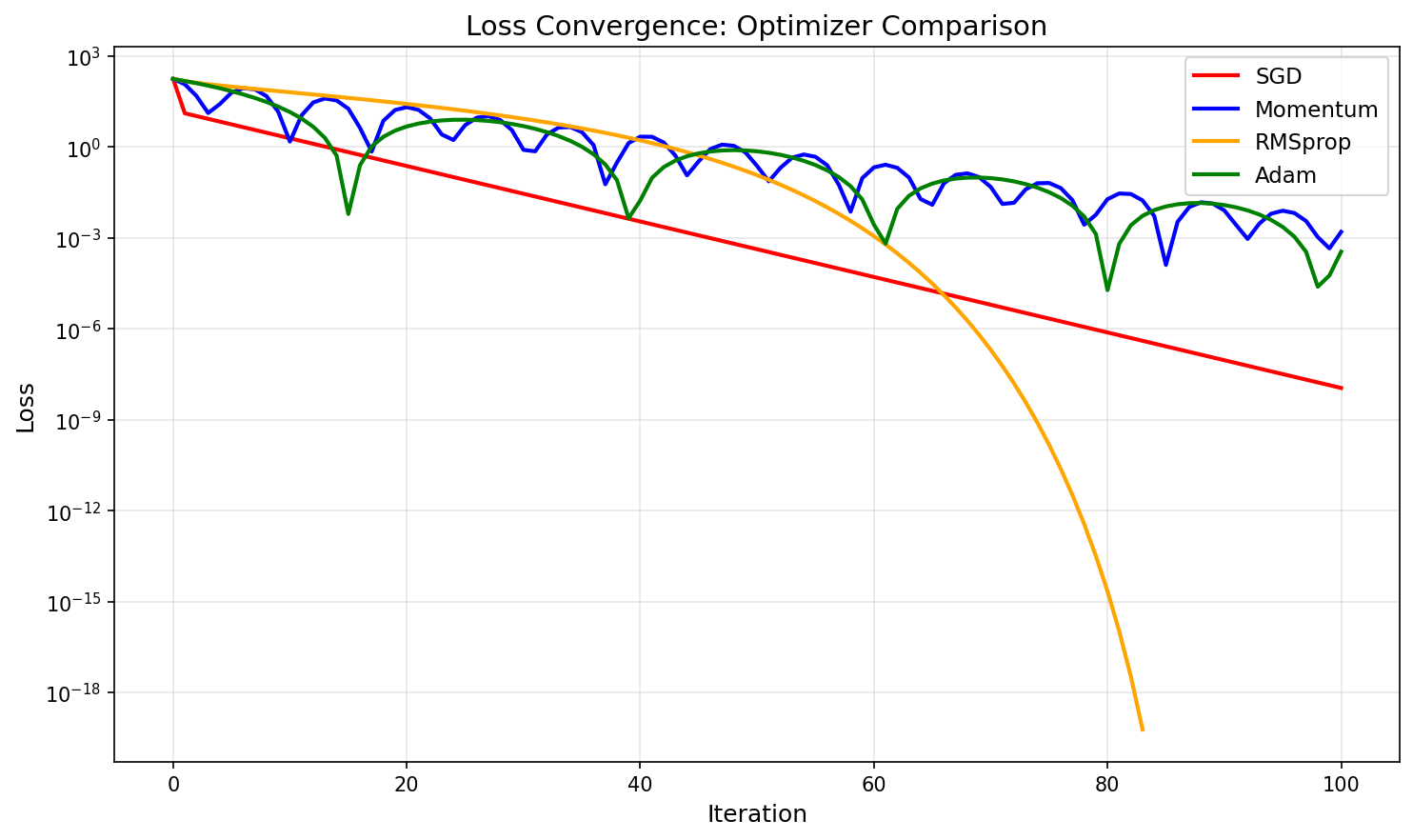 Training Loss Curves