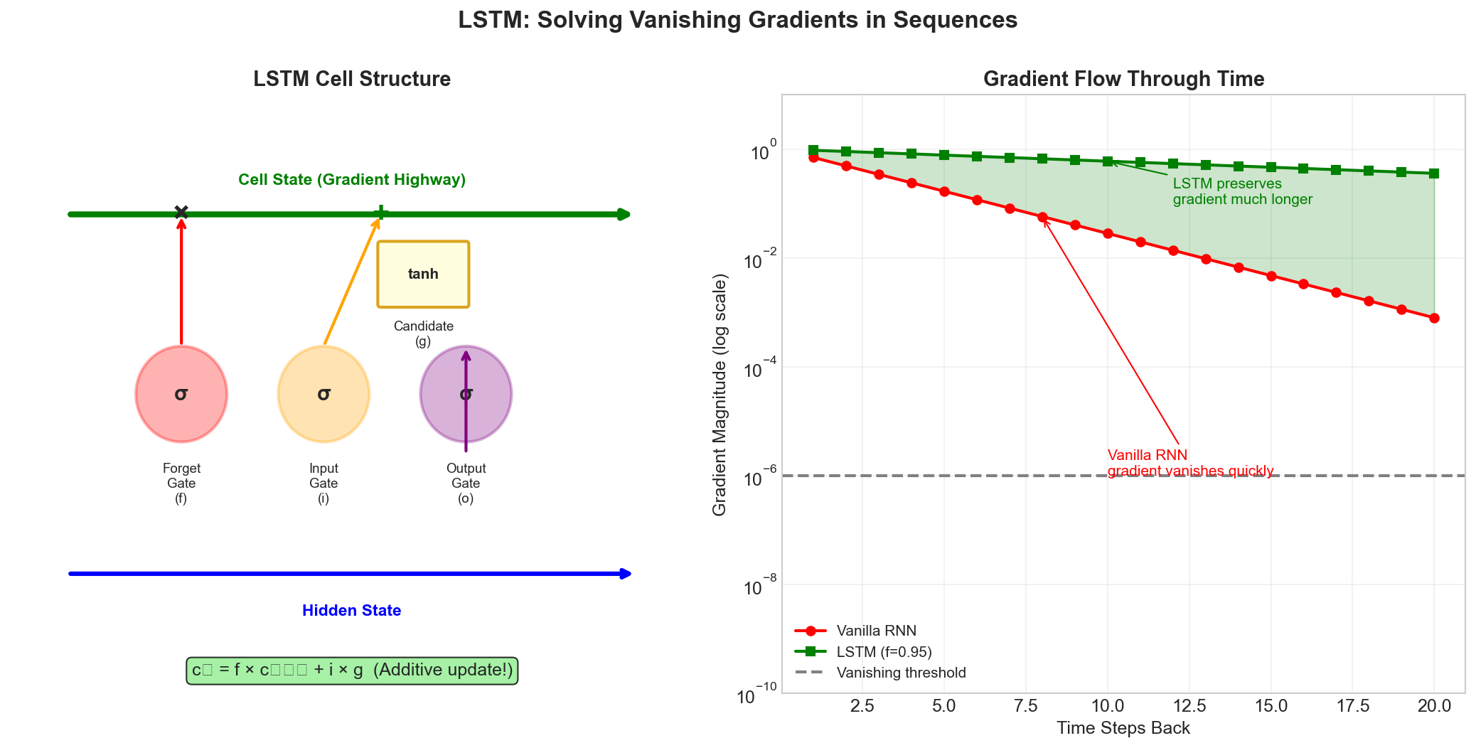 LSTM gate visualization