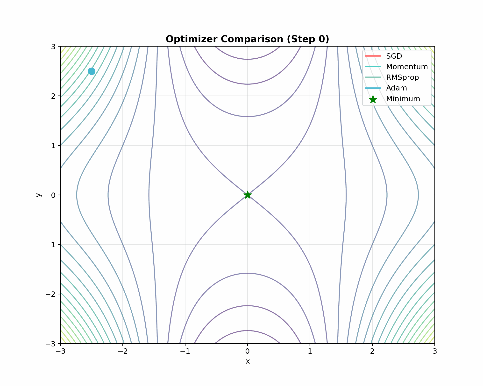 Optimizer Paths