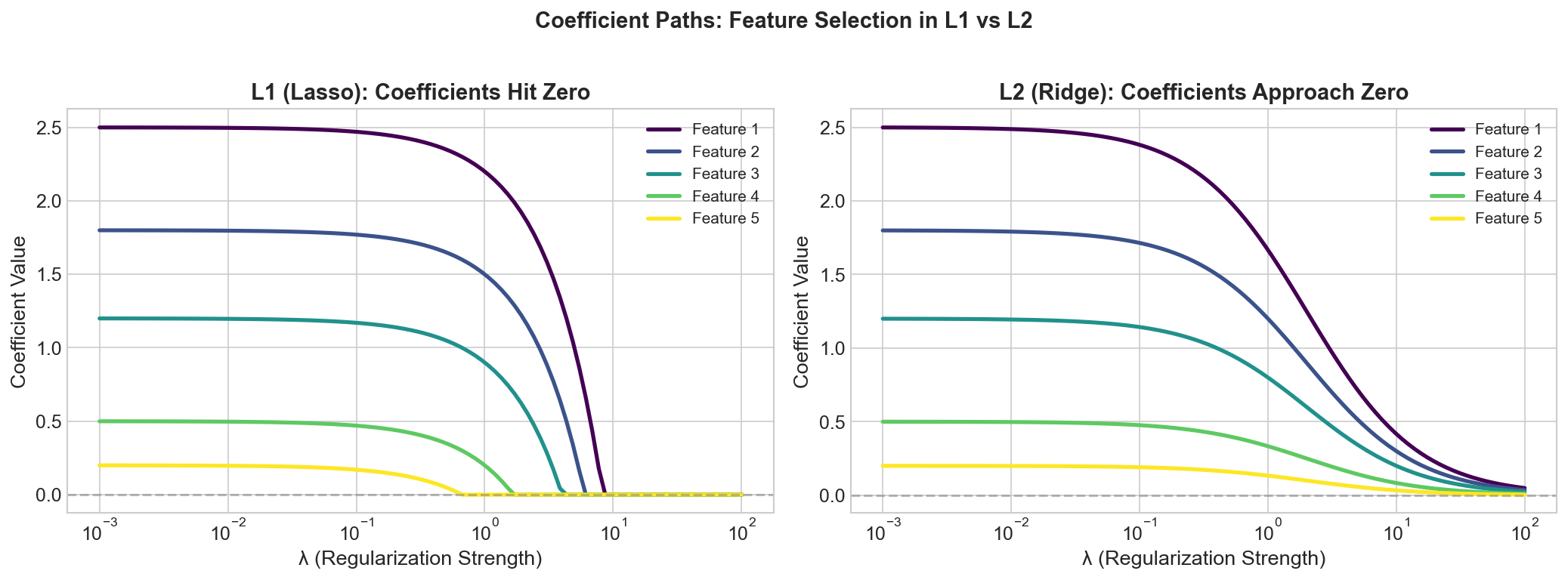Coefficient Paths