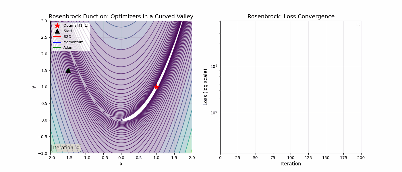 Rosenbrock Function Optimization