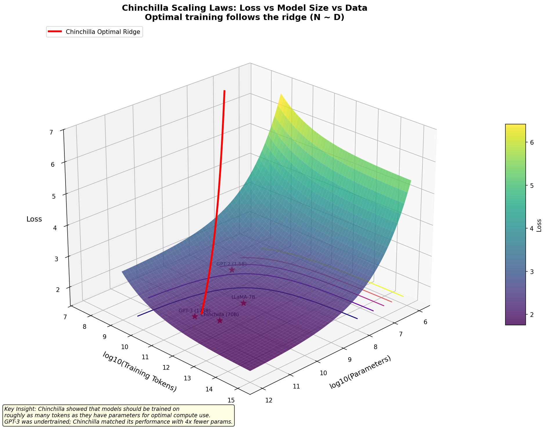 Chinchilla scaling laws surface: loss vs. log model size and log training tokens, with the compute-optimal ridge (N ~ D)
