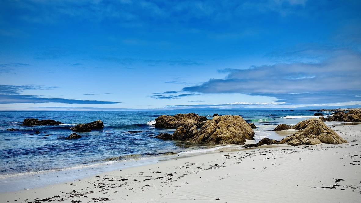 Rocky beach at Monterey
